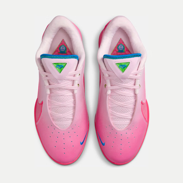 NIKE 男子篮球鞋LEBRON XXII SN EP运动鞋HV8456-600 泡沫粉 40