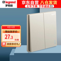 罗格朗 仕典系列 K8/32/2/2CE-C2 双开双控开关 米兰金