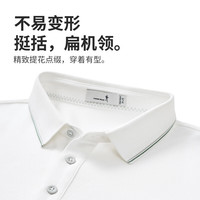 与狼共舞【7A抗菌2A防螨】polo衫男2025夏季精致人标凉感不变形领男士短袖 本白 3XL (190)