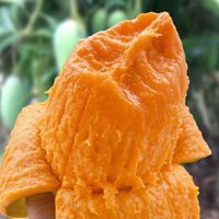 尹福记广西青皮金煌芒大青芒商超品质 拍2份合发一箱 甄选青皮金煌芒 净重4.25-4.5 斤装 单果600克+