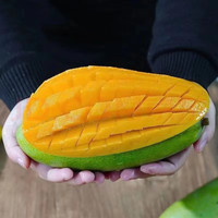 尹福记新鲜越南大青芒商超品质特级果整箱应季当季青芒果 心选大青芒 净重约 9斤