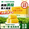 十月稻田 SHI YUE DAO TIAN 黄糯玉米段 100g*3+30g*2