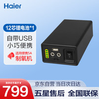 海尔 Haier 4L升便携式车载制氧机高原户外旅游小型吸氧机Everest-5A便携制氧机移动电源