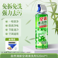 洛伊丝 ZWH-666 空调清洗剂 家用洗空调免拆免洗内外机 全套工具 强力去污 1瓶装 深层清洁