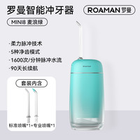 罗曼 冲牙器家用洗牙器洁牙器水牙线电动超声波正畸专用便携式口腔