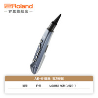 罗兰 AE-01/AE-01C 电吹管 初学者电萨克斯电子吹管乐器（颜色分类：AE-01蓝色）