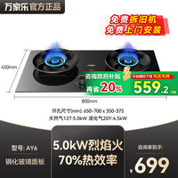 万家乐 C8R1燃气灶双灶天然气煤气灶AY8嵌入式液化气灶6家用定时