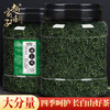 赵家铺子 蒲公英茶