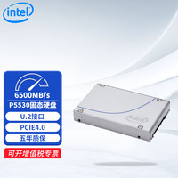 SOLIDIGM 英特尔D5 P5530 企业级固态硬盘SSD U.2接口PCIe4.0 960G