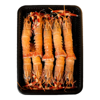 鲜喜利舟山新鲜野生深刺身甜虾大螯虾鲜活国产东海熬虾 (净重)