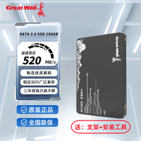 长城 固态硬盘2.5寸SATA3.0接口256/512GB台式机笔记本高速SSD扩容