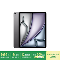 苹果 Apple iPad Air 7 M3版 13英寸 平板电脑 无线局域网机型 256GB 深空灰色 MCNN4CH/A