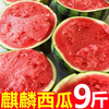 无品牌 河南开封 麒麟瓜西瓜 5-6斤