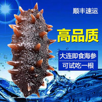 源外园 大连海参 8-12只/斤 1斤装