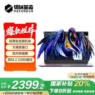 机械革命 无界14S 黑天鹅 十三代酷睿版 14英寸（酷睿i5-13420H、核芯显卡、16GB、512GB SSD）