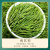 吴家世茶珍稀白茶 2025年新茶春茶特级绿茶正宗安吉特产茶叶 *1罐