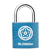 梅花（BLOSSOM）抽屉锁挂锁工具箱室内小锁宿舍柜子门锁电表箱锁BC2925蓝25MM