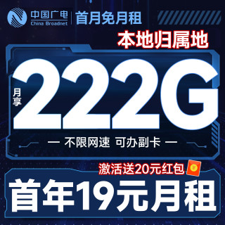 中国广电 广智卡 首年19元月租（本地号码+可办副卡+222G通用流量+首月免费用）畅享5G不限网速