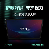 学而思学习机t4系列 学而思学习机P4小学初中高中通用2025智能AI答疑辅导大屏护眼平板家教机学 学而思学习机P4(天花板) 128GB x 标配