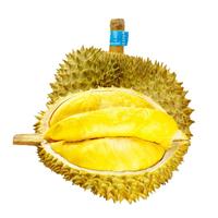 鲜级佳泰国新鲜榴莲老树果新鲜整个带壳榴莲热带水果 精选老树榴莲5-6斤1个装丨报恩榴莲