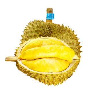 鲜级佳 泰国新鲜榴莲老树果新鲜整个带壳榴莲热带水果 金枕榴莲2-3斤1个装丨
