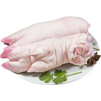 赛鲜者猪蹄新鲜生猪蹄子生鲜前蹄鲜猪手带筋有嚼劲现杀小香猪猪蹄 带筋土猪蹄(6只)