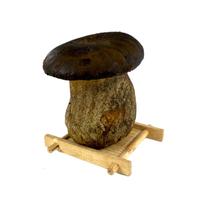 新鲜黑牛肝菌500g 食用牛肝菌云南特产菌菇炒菜煲汤火锅食材