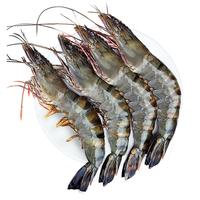 东上御品 鲜冻黑虎虾特大 净重2斤 16-20只/盒海鲜虾类印度年货-源头直发