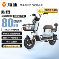 雅迪 甜橙 48v24a星恒锂电 积木蓝