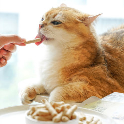 盒边 营养鱼油棒猫咪零食 猫用狗狗通用 鸡肉味 磨牙洁齿 补充毛发营养 美顺亮*鱼油棒   【必选20