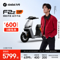 九号 远行者 F2z 110 MAX 电动自行车 TDT135Z