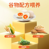 好念头始祖黑鸡鸡蛋 无抗生素腥味无菌可生食新鲜散养端午节鸡蛋盒 慢产50枚+富硒30枚