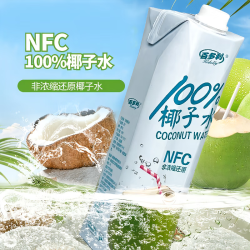 Hidolly 椰子水椰汁椰子水饮料果汁椰汁饮料 1L*4瓶