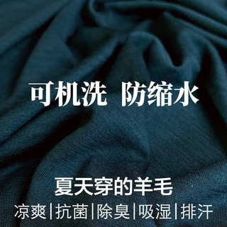 灰壳15.5μm美利奴羊毛短袖T恤男亲肤保暖透气速干衣户外运动休闲 极光绿 /正肩常规版 XL 170-185斤