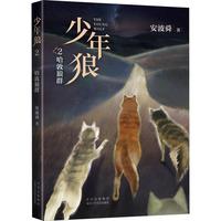 《少年狼2·哈敦狼群》