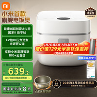 米家 MIJIA 小米智能IH电饭煲P1 3L