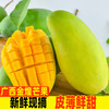 无牌 广西百色青皮金煌芒果 4.5斤 中果200g+