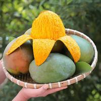 花慕辰四川攀枝花凯特芒果大果新鲜水果 4.5斤装 拍2份合发一箱 臻选凯特芒 净 重4.25斤
