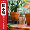 花瓶摆件客厅插花防摔亚克力透明醒花桶富贵竹百合水养轻奢感 口径高25cm 10cm