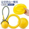 狗狗玩具大型犬互动圆环金毛拉布拉多用品磨牙训犬球耐咬解闷神器