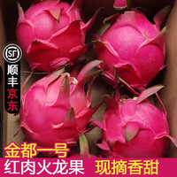 忆京源 海南红心火龙果 3斤约4-6个
