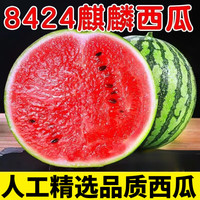 晟容果蔬 麒麟西瓜新鲜云南西瓜时令应季水果甜瓜新鲜现摘清甜可口速发 净重9-10斤(甄选品质装)