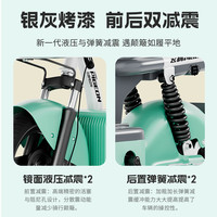 飞鸽 FG FLYING PIGEON电动车新国标电动自行车男女士电助力代步成人48V可上牌电瓶车 曜石黑【 售后无忧】 【锂电】24A汽车级-助力续航110公里