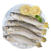 禧美海产南美黄鱼2斤(内含2袋)  6-10条 三去免处理 阿根廷 海捕海鲜 【野生海捕】黄鱼2斤