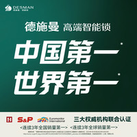 德施曼 大圣 Q5 MPro（标准版）智能锁猫眼可视大屏GPT指纹密码防盗门锁