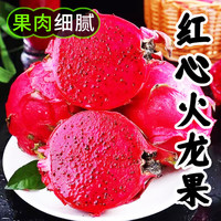 京世泽 红心火龙果 红肉蜜宝金都一号 含箱5斤（净重4.5斤装）