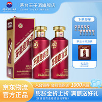 茅台白酒_茅台MOUTAI 迎宾酒53度酱香型白酒500mL*2瓶多少钱-什么
