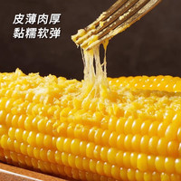 玉颜色 长白山博斯糯9号黄玉米220-240g*10支