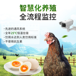 乡朴黑鸡蛋无抗笨鸡蛋无激素含硒叶黄素鸡蛋减脂宝宝辅食