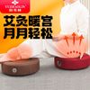 俞兆林 艾灸热敷理疗蒲团坐灸仪艾灸盒随身灸家用艾柱艾灸熏蒸器具
